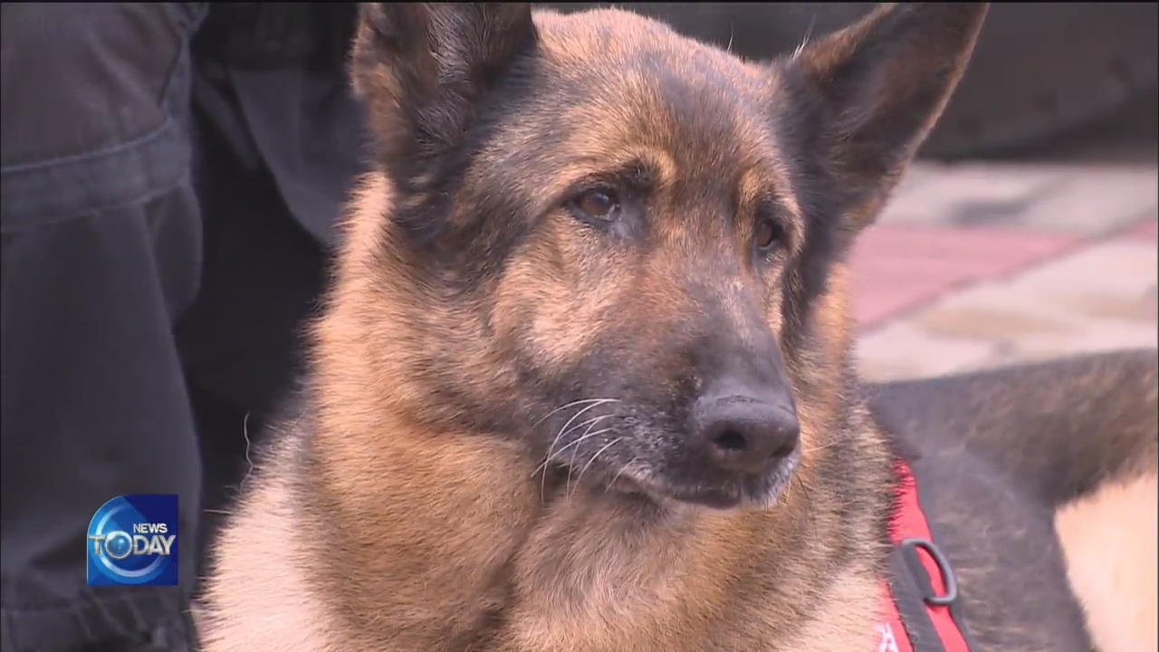 RETIREMENT CEREMONY FOR A SPECIAL RESCUER