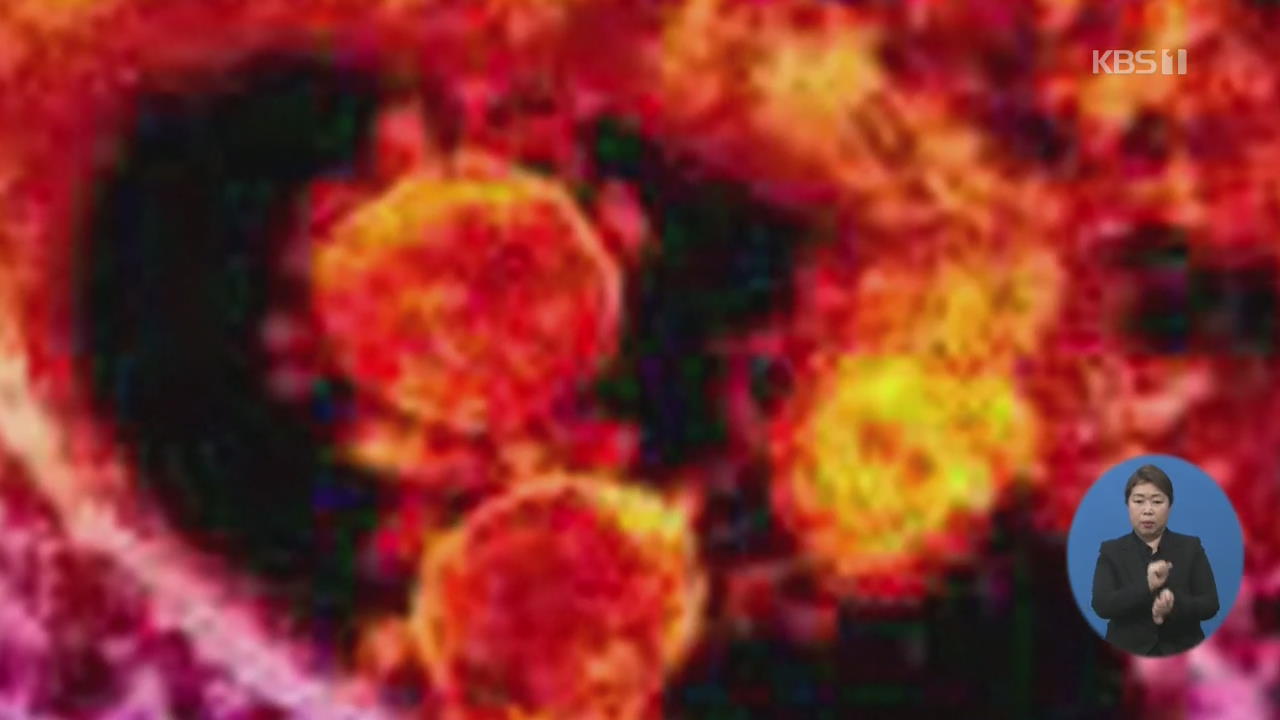 ‘우한 폐렴’ 신종 코로나바이러스란?…“국내 의심환자 호전”