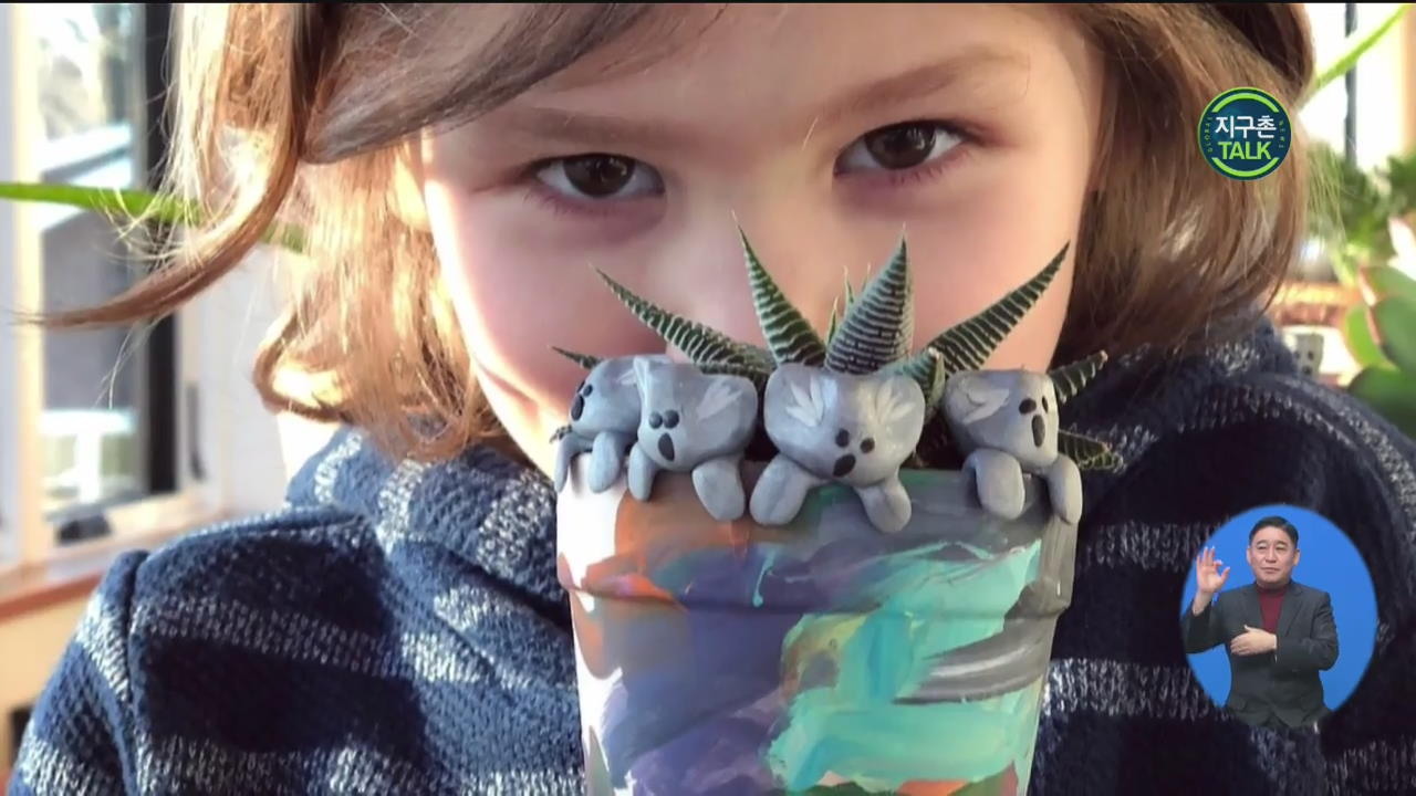 [지구촌 Talk] 美 6살 소년, ‘코알라 인형’ 빚어 호주 산불 기부