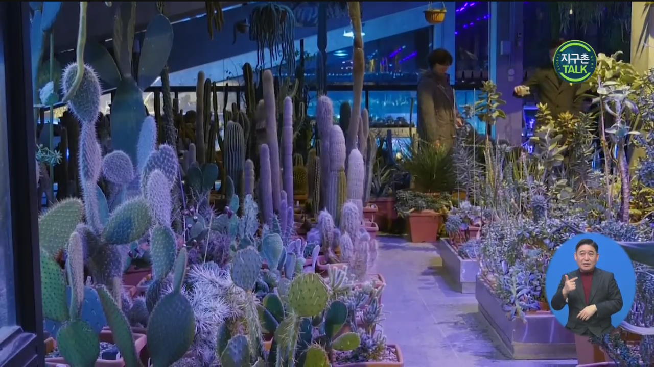 [지구촌 Talk] 눈 쌓인 식물원의 ‘난초 전시회’
