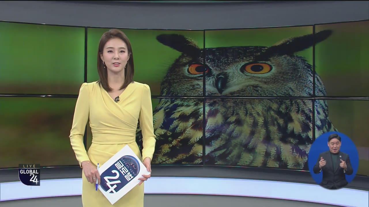 [글로벌24 클로징]