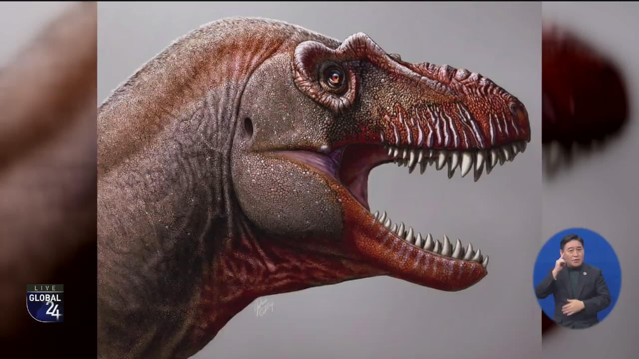 [글로벌 플러스] 티라노사우루스계 새 공룡 발견