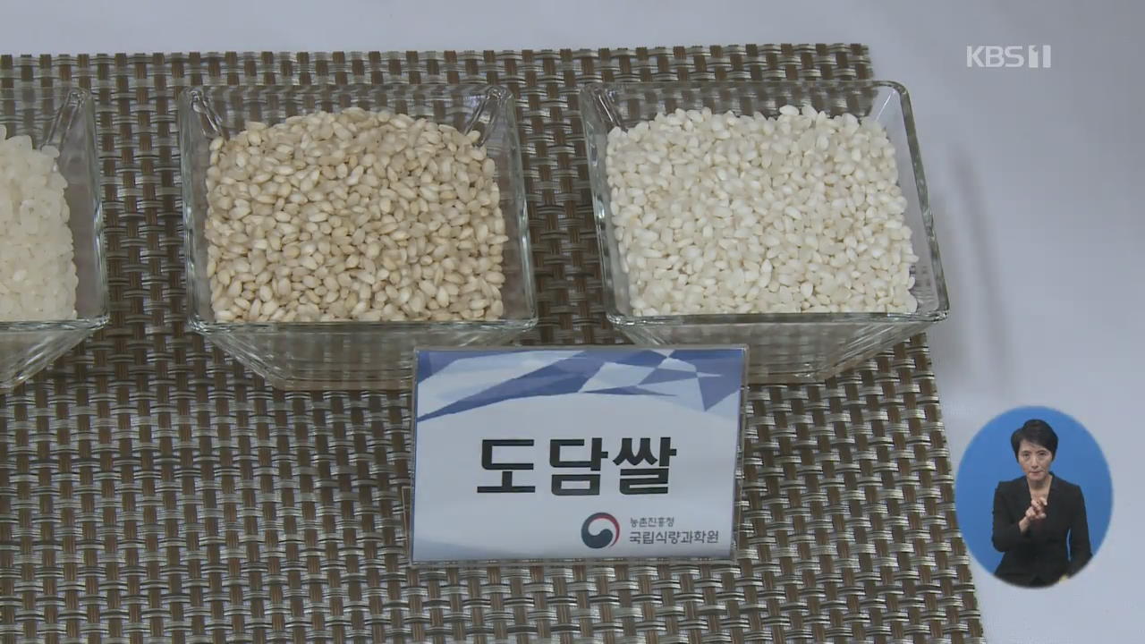 쌀이 당뇨의 적?…인슐린 낮추는 쌀 개발