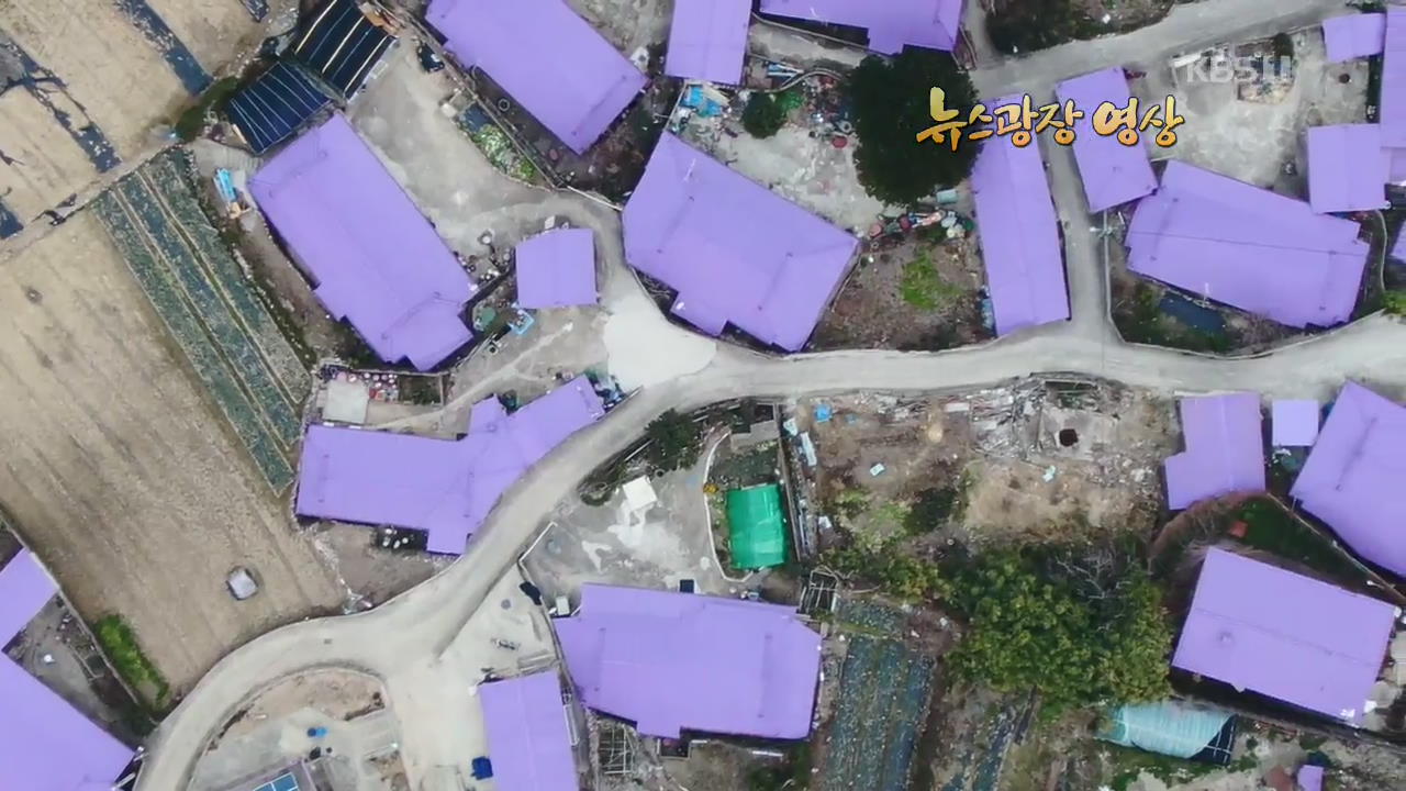 [뉴스광장 영상] 보라마을