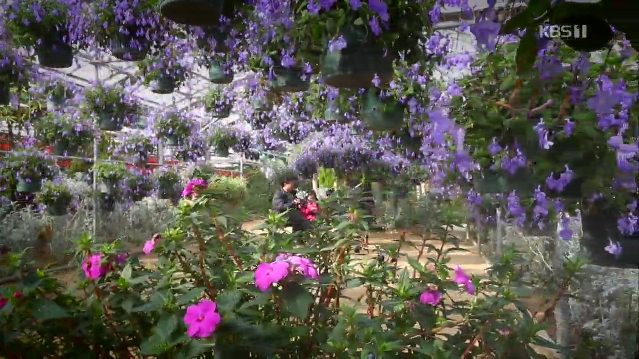 [뉴스광장 영상] 꽃향기 정원