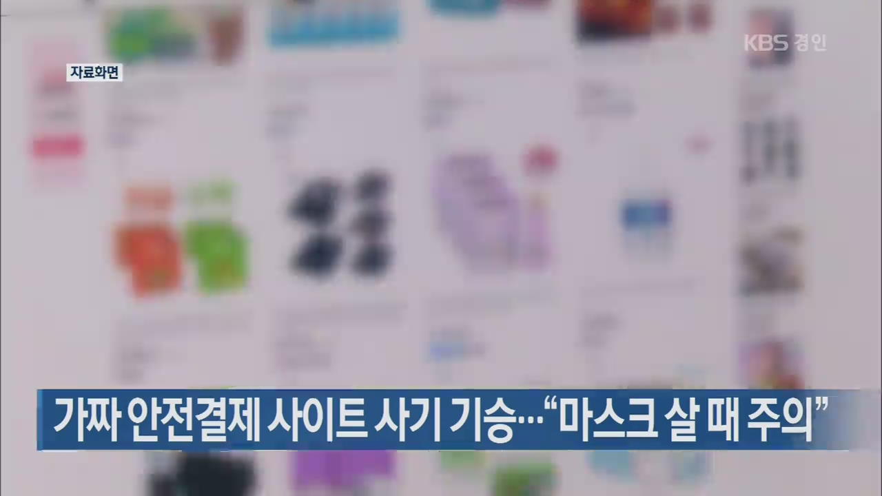 가짜 안전결제 사이트 사기 기승…“마스크 살 때 주의”