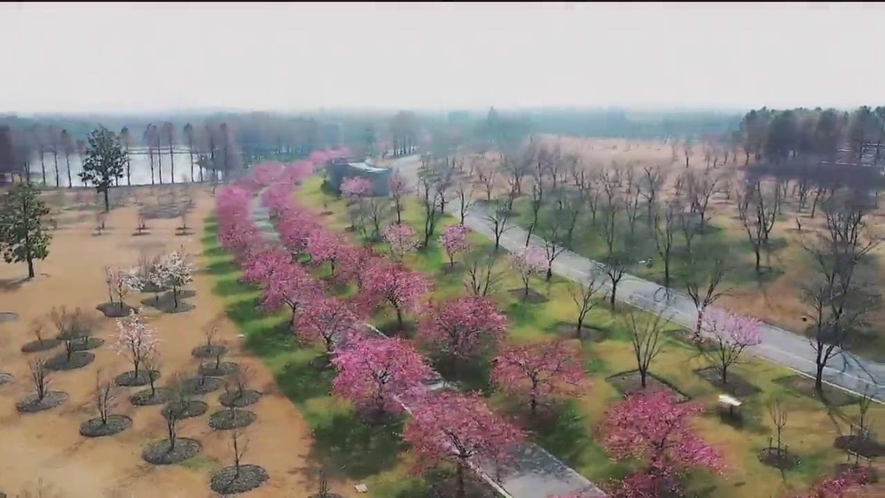 [지구촌 포토] 중국 상하이 ‘온라인 투어’ 영상 제작
