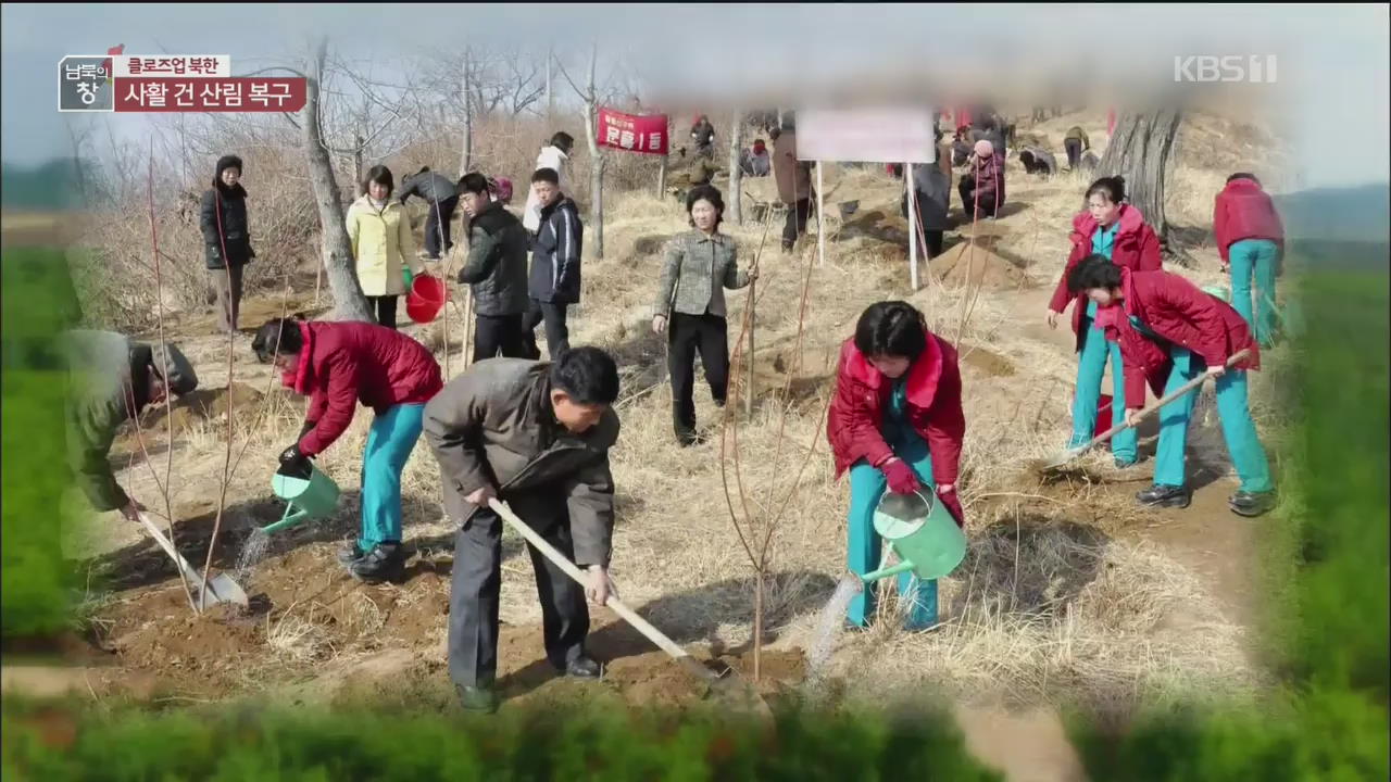 [클로즈업 북한] 사활 건 산림 복구…회복 속도는?