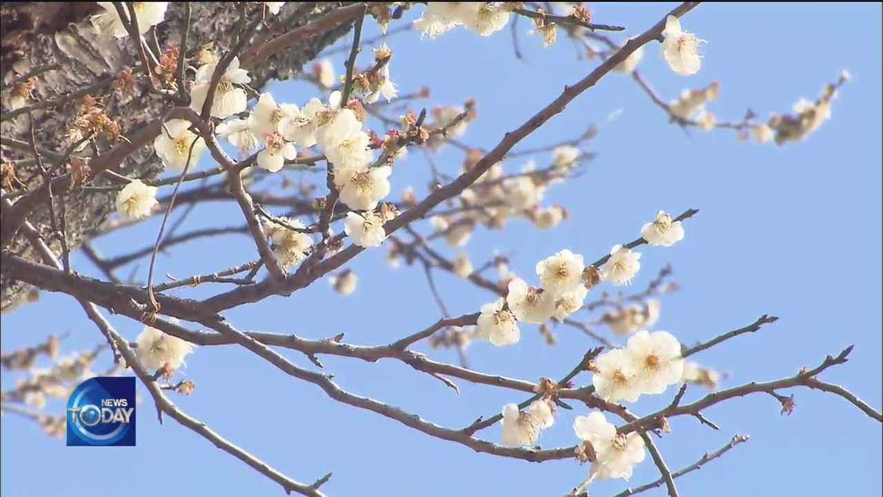 CONTAMINATION ALERT AMID SPRING FESTIVALS