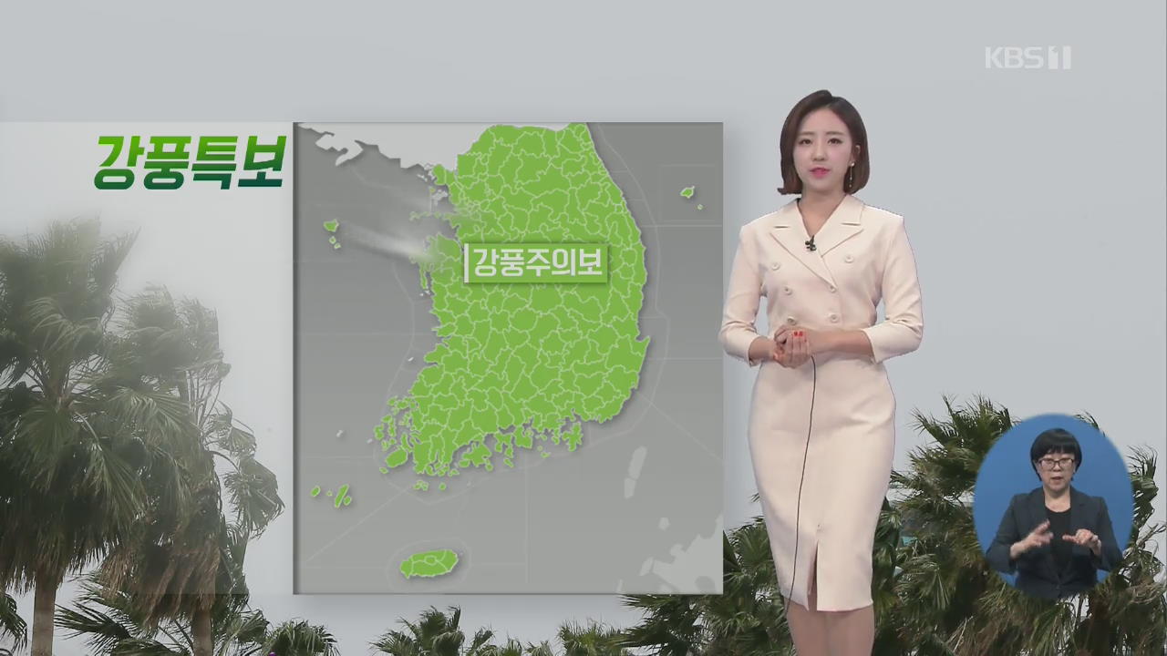 [날씨] 전국 강풍 주의…내륙 곳곳 비