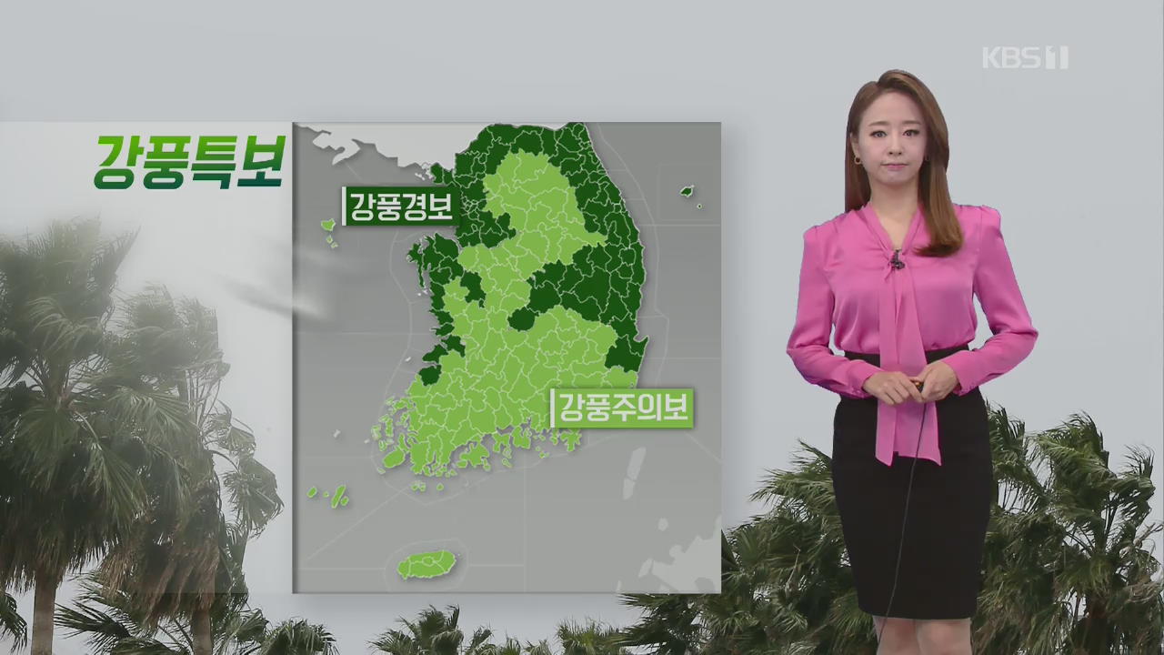 [날씨] 전국 강풍특보…내일까지 강풍주의