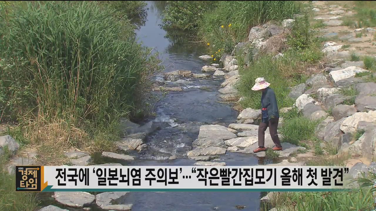 전국에 ‘일본뇌염 주의보’…“작은빨간집모기 올해 첫 발견”