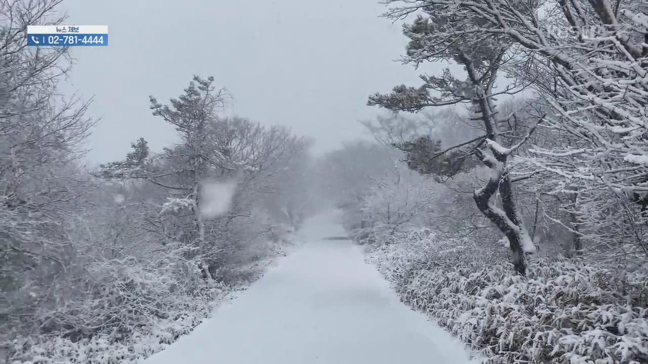 한라산에 31cm 폭설…4월 제주서 만난 겨울