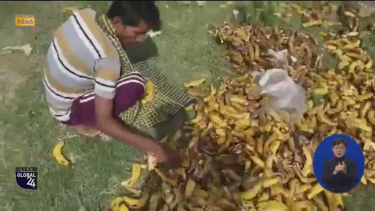 [글로벌24 주요뉴스] 인도 “썩은 바나나로 연명”…빈곤층에 직격탄
