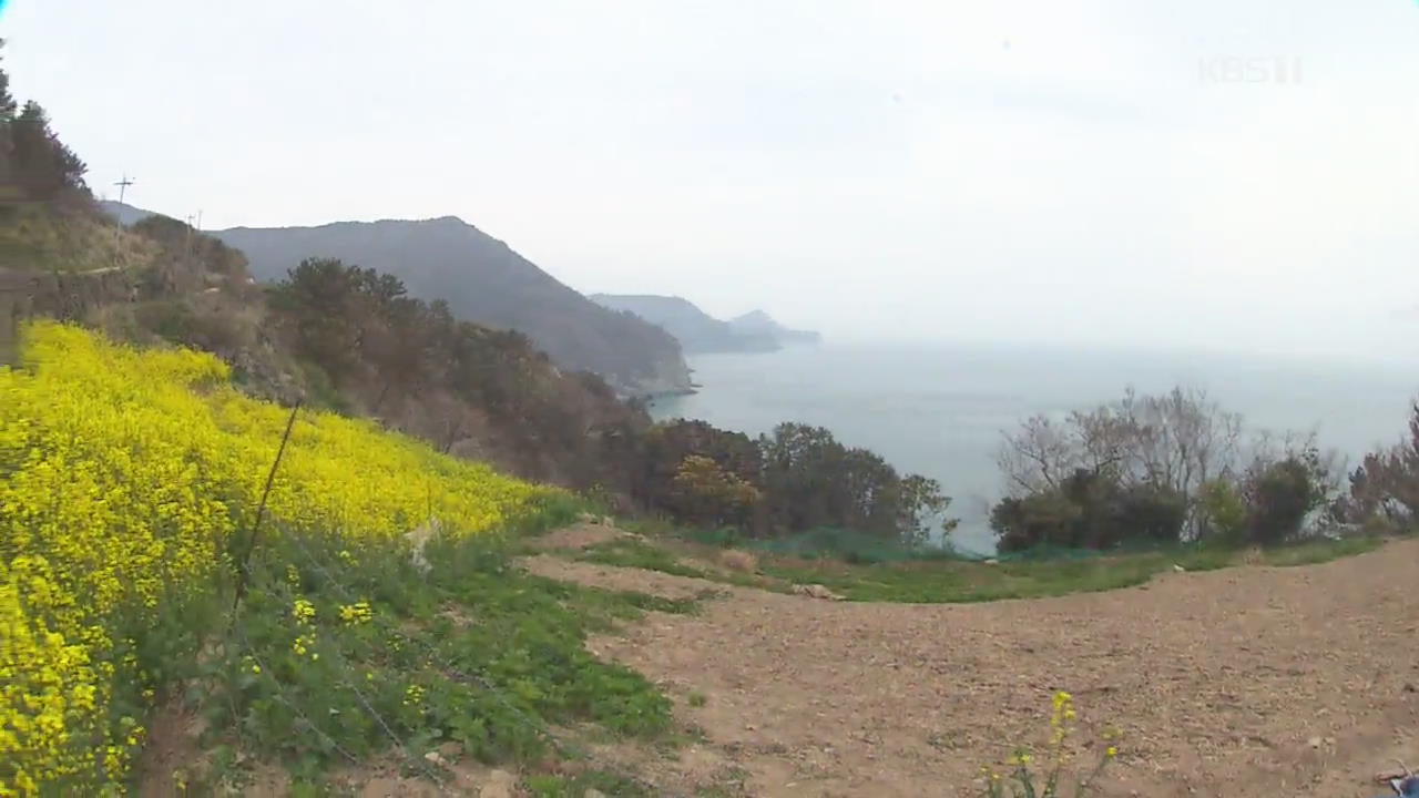 [뉴스광장 영상] 금오도