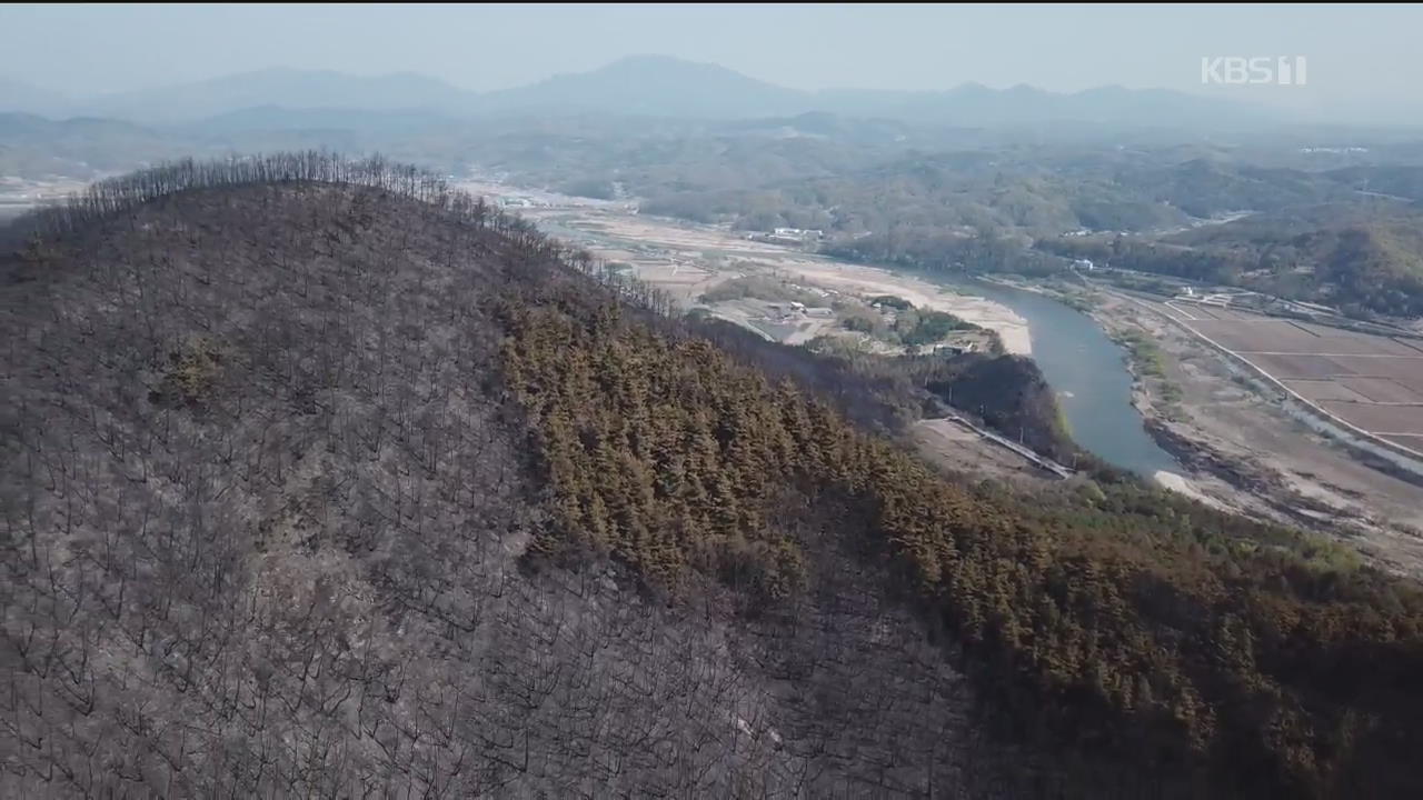 안동 산불, 경북 역대 최대 피해…잔불 정리 비상