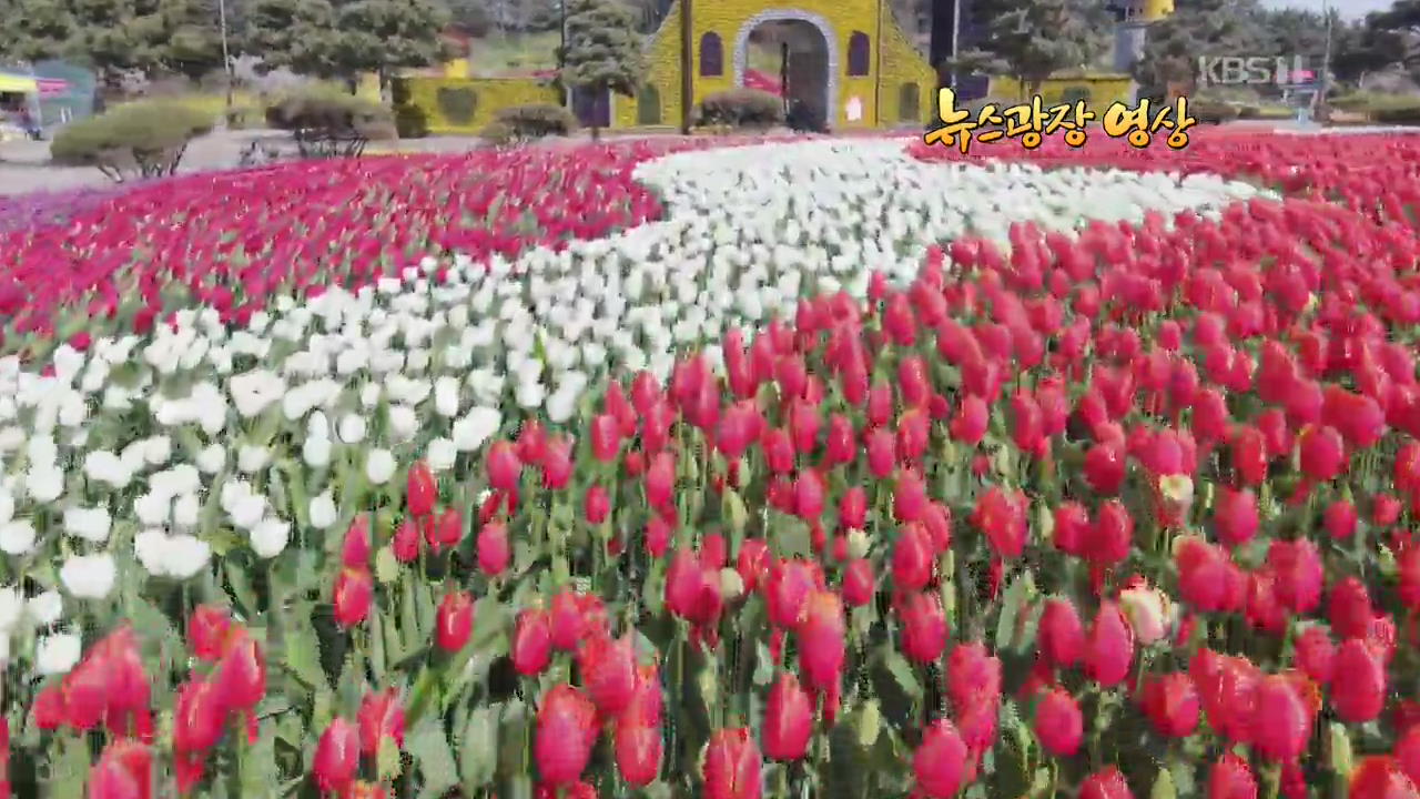 [뉴스광장 영상] 꽃동산