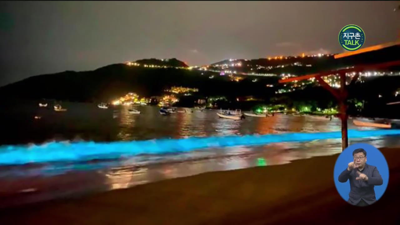 [지구촌 Talk] 인적 뜸한 해변 수놓은 ‘형광 푸른빛’