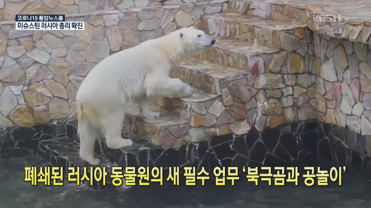 [코로나19 국제뉴스] 폐쇄된 러시아 동물원서 새 필수 업무 ‘북극곰과 공놀이’