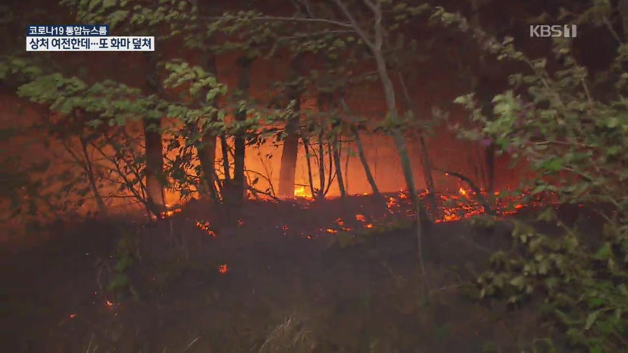 1년 만에 또 대형산불…산림 85만㎡ 잿더미