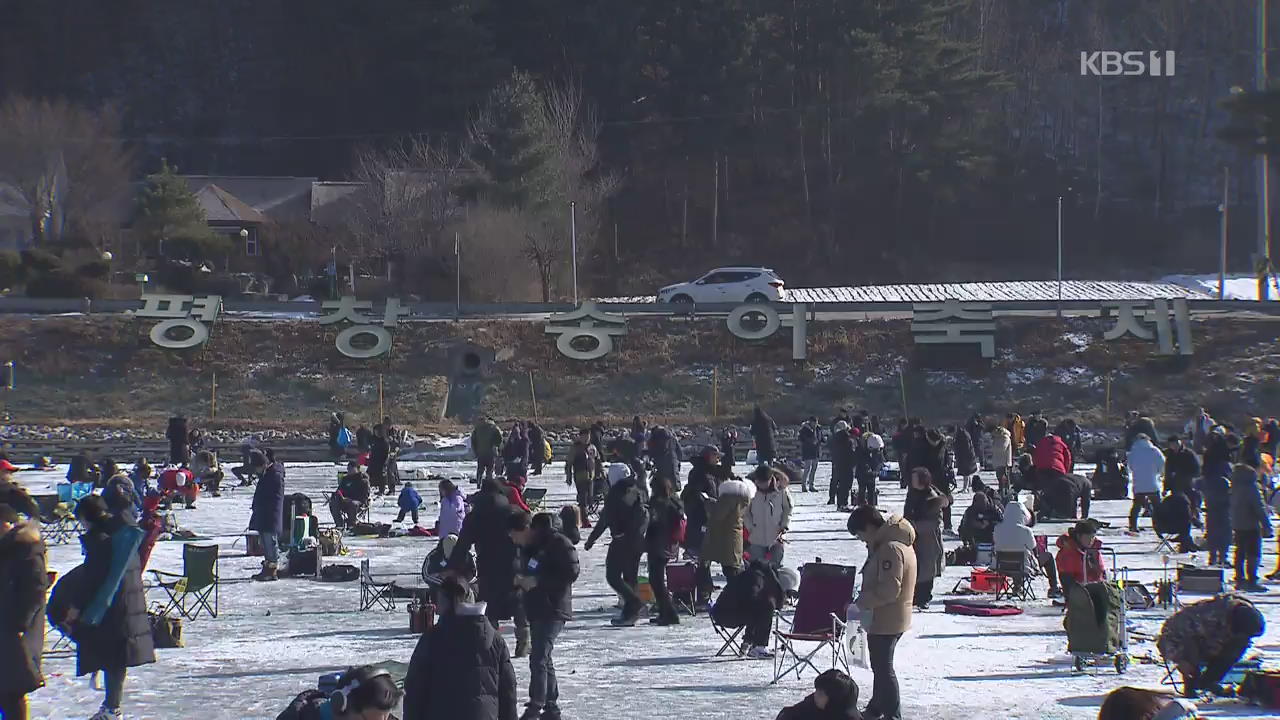 물고기축제 후…외래어종 생태계 교란 위험