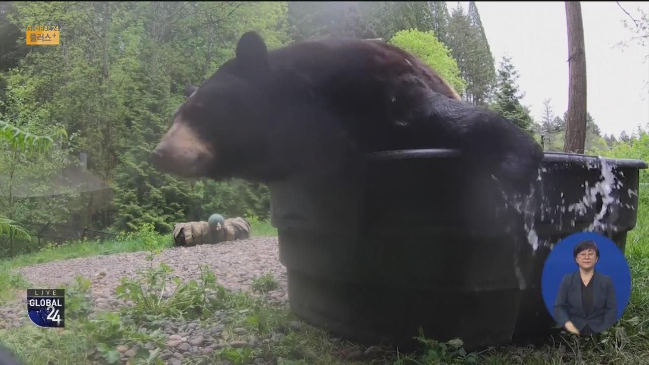[글로벌 플러스] ‘뒹굴뒹굴’ 사람 없어 행복한 동물원 흑곰
