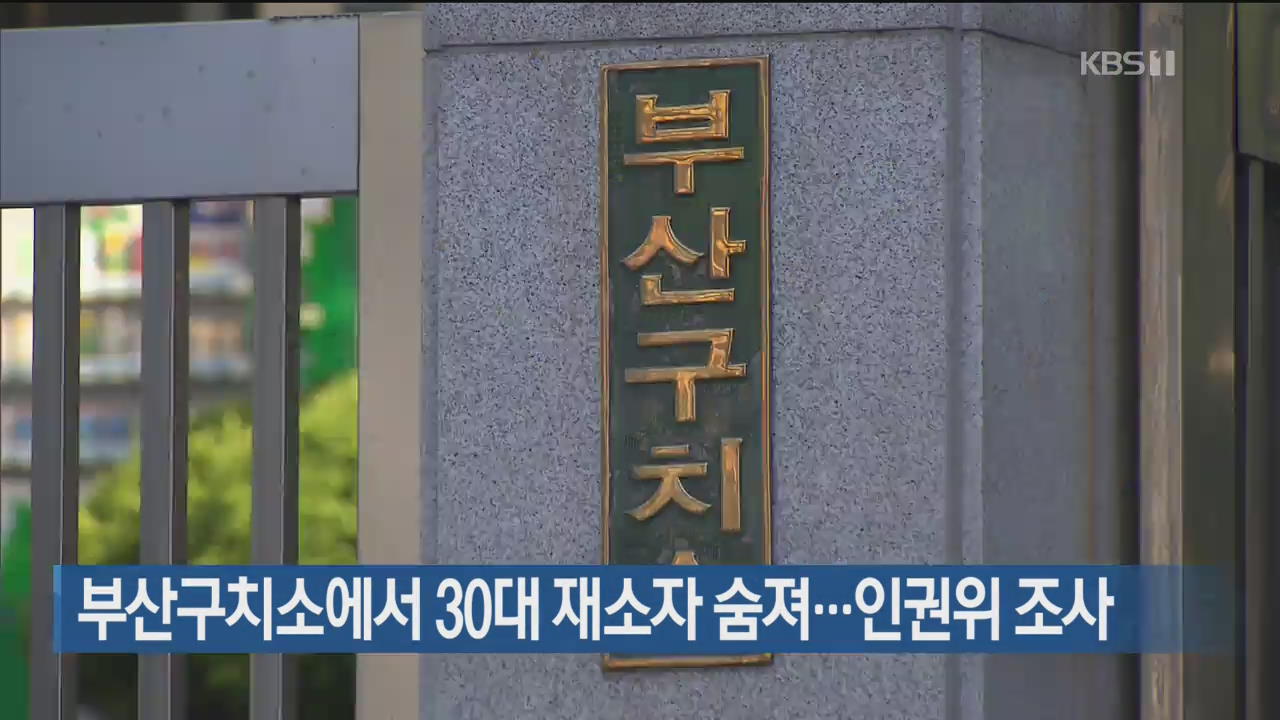 부산구치소에서 30대 재소자 숨져…인권위 조사