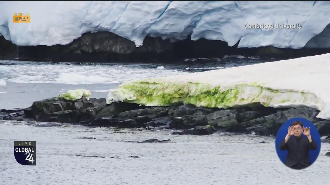 [글로벌 플러스] 남극대륙에 ‘녹색 눈’…첫 녹조 지도 제작