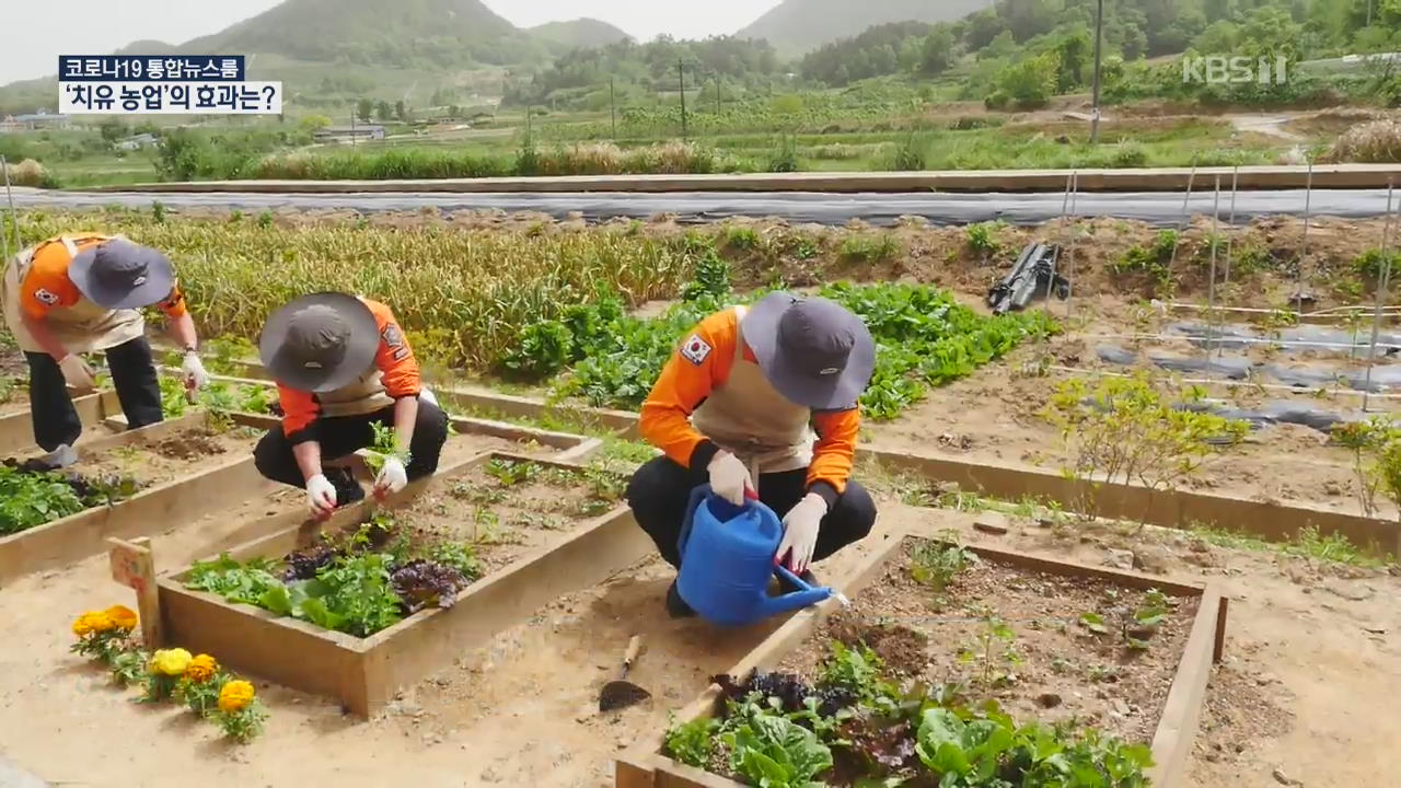 치유농업의 효과…긴장감 줄이고 안정감 높여