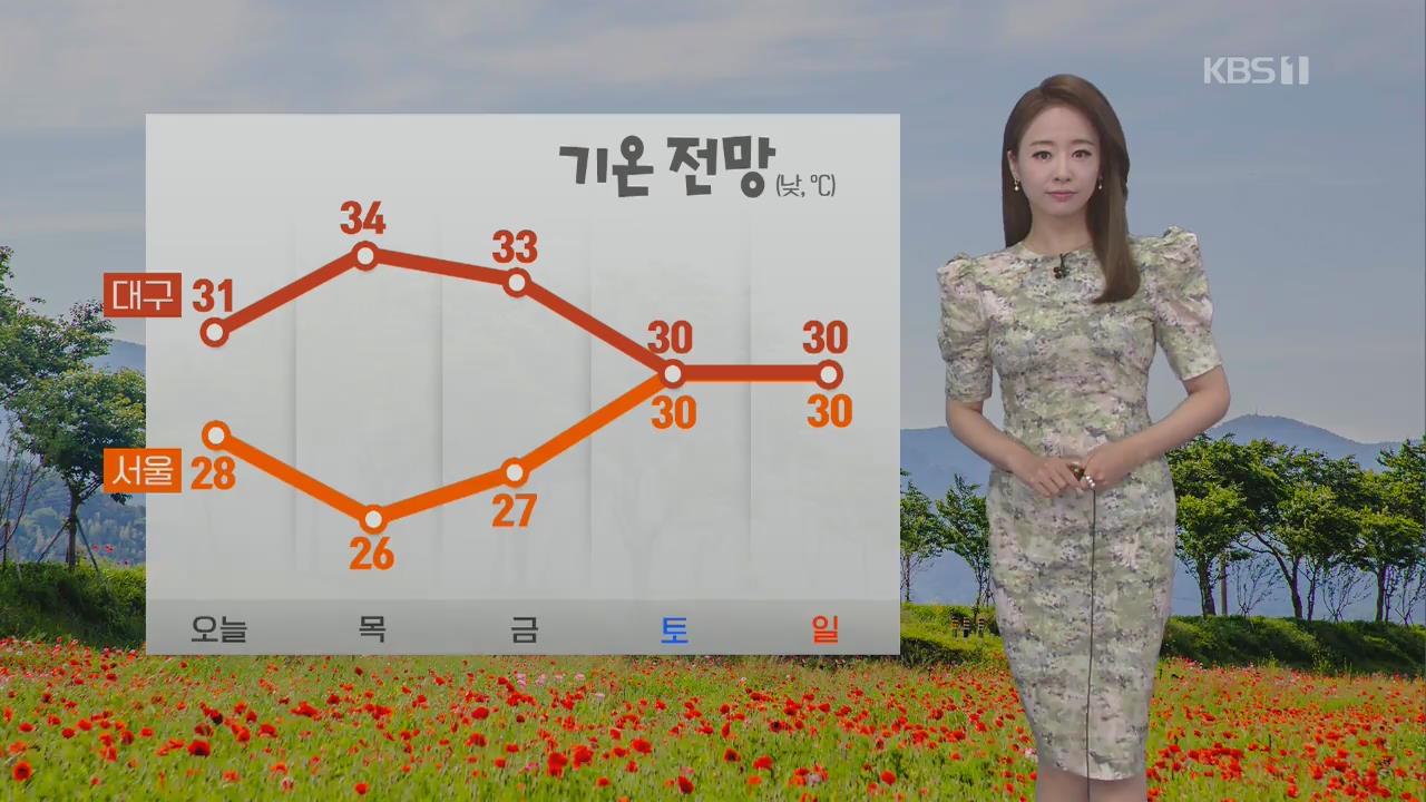 [날씨] 낮, 30도 안팎…내일 대구 34도