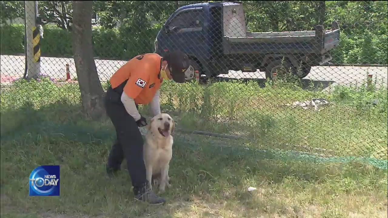 RETIREMENT OF FIRE STATION RESCUE DOG