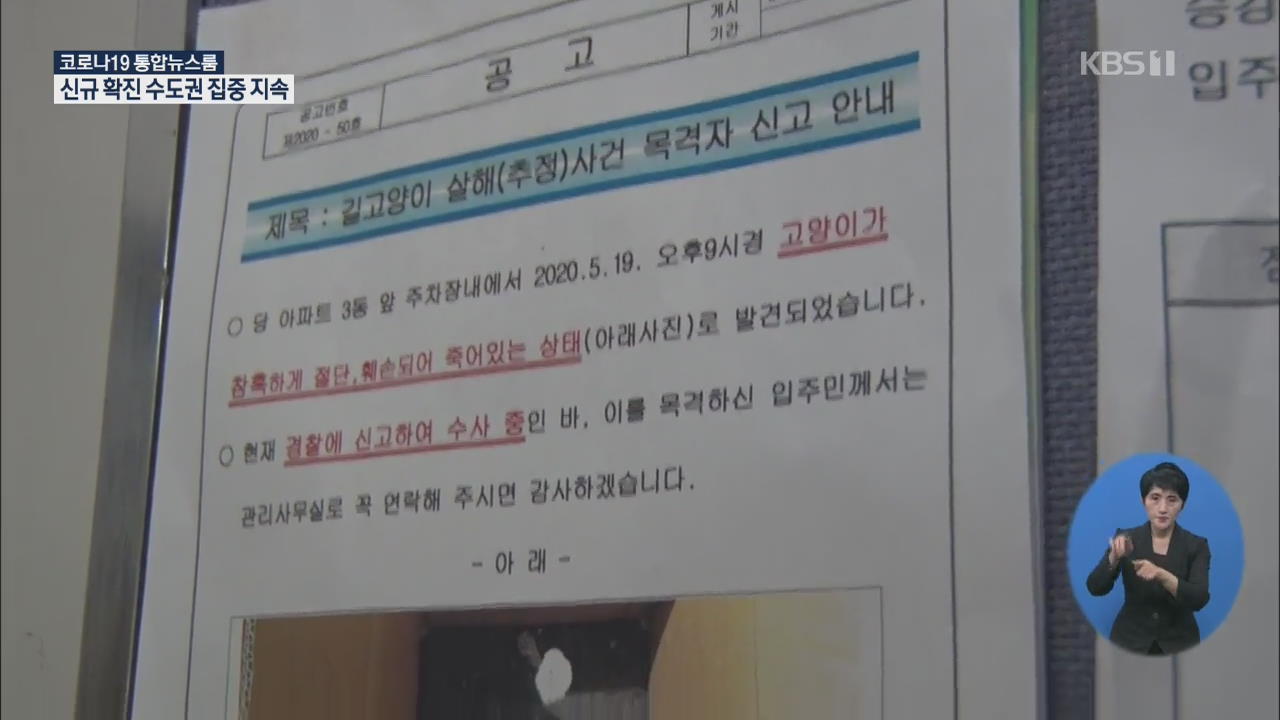 마포 일대서 고양이 사체 잇단 발견…무슨 일이?
