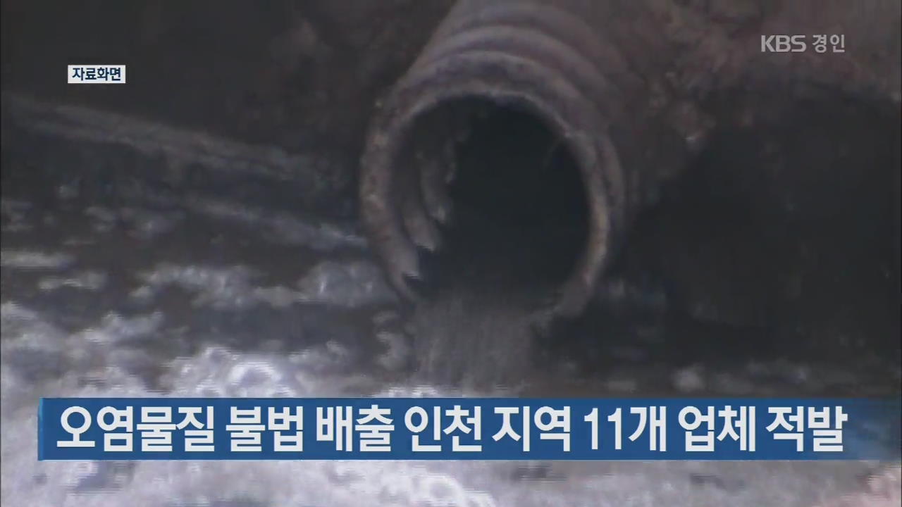 오염물질 불법 배출 인천 지역 11개 업체 적발