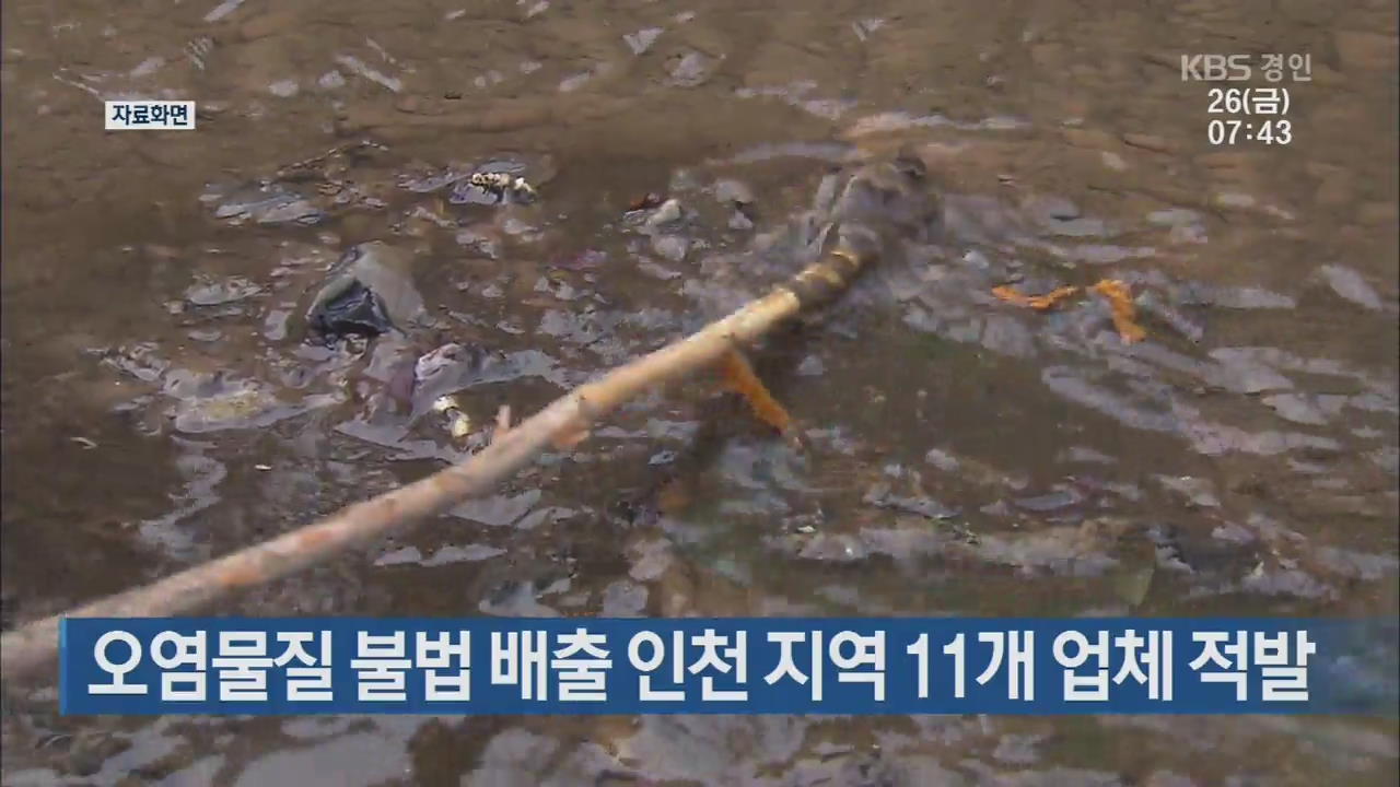 오염물질 불법 배출 인천 지역 11개 업체 적발