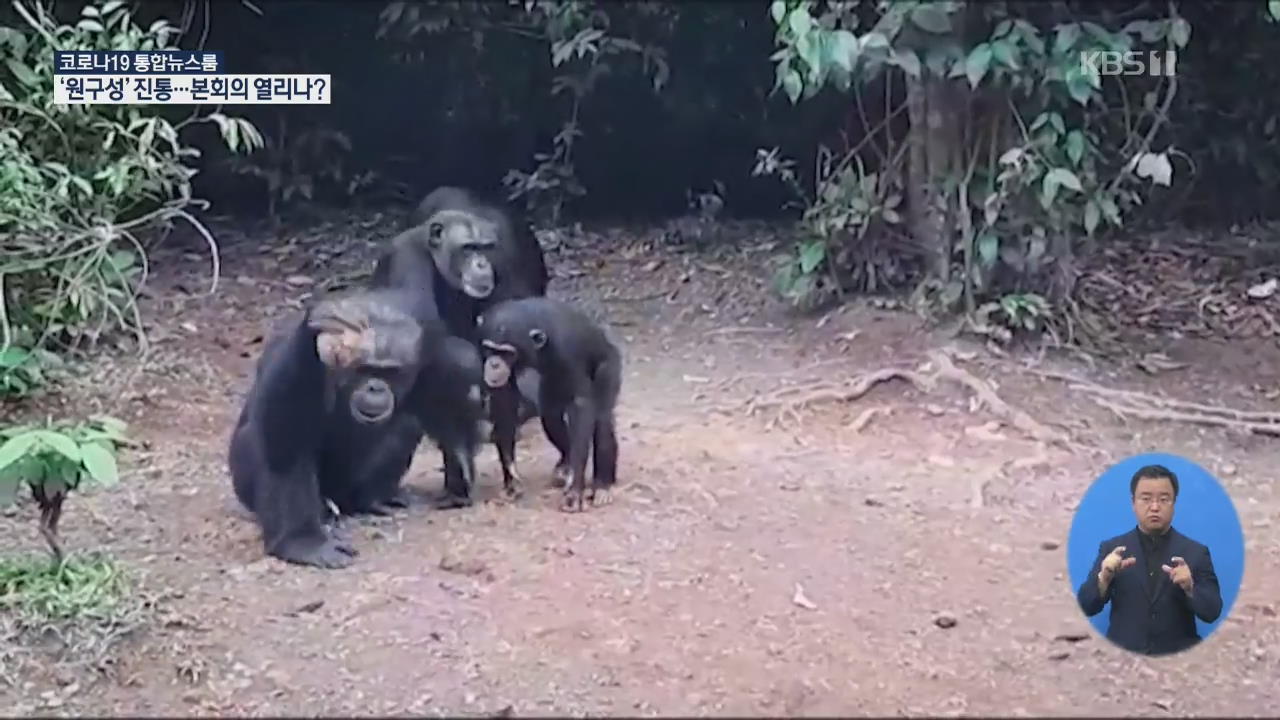 시에라리온, 침팬지 보호구역 재정난 심각