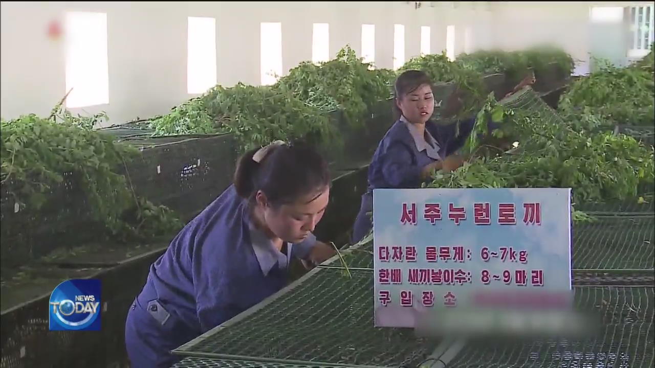 N. KOREA FACE ECONOMIC HARDSHIP AMID COVID-19