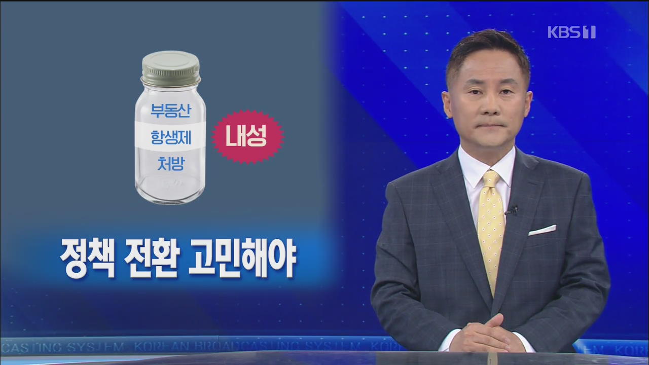 [뉴스해설] 부동산 ‘항생제’ 처방 남용? 정책전환 고민해야
