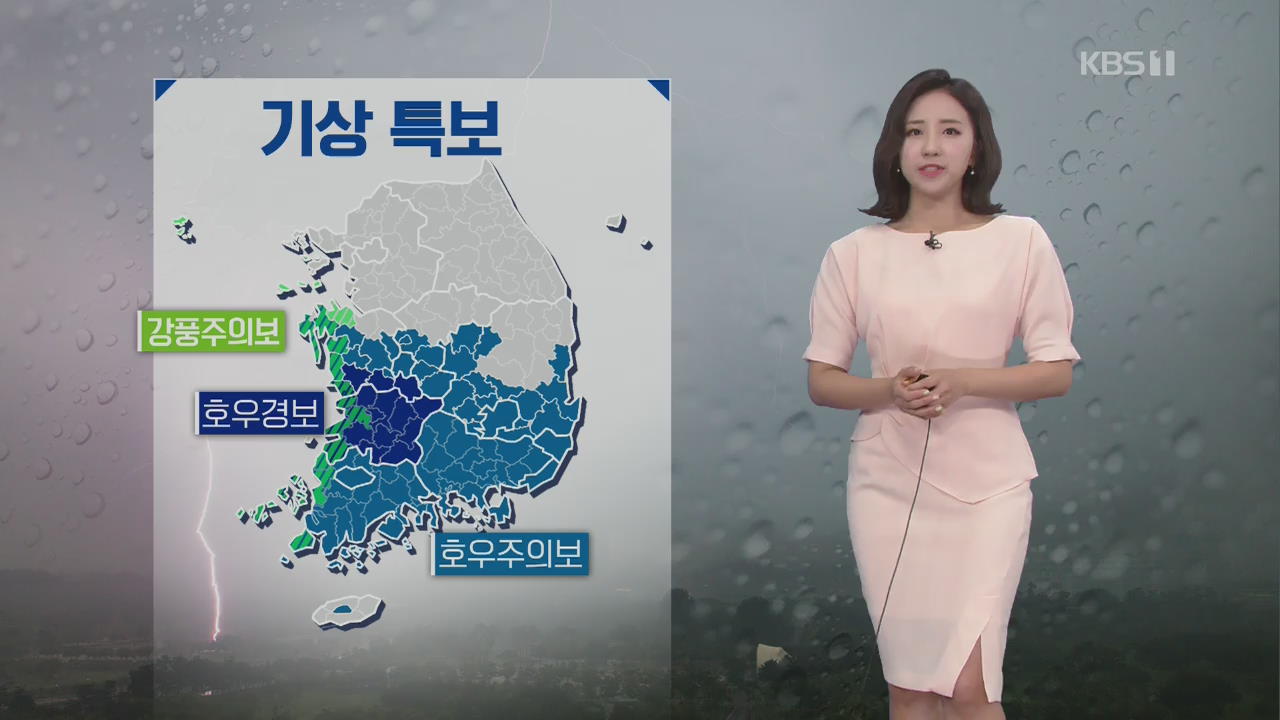 [날씨] 전국 흐리고 비…충청·남부 호우특보