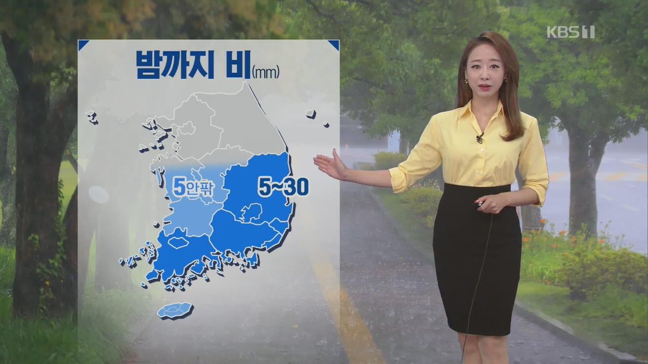 [날씨] 충청·남부 밤까지 비…내일 전국 30도 안팎
