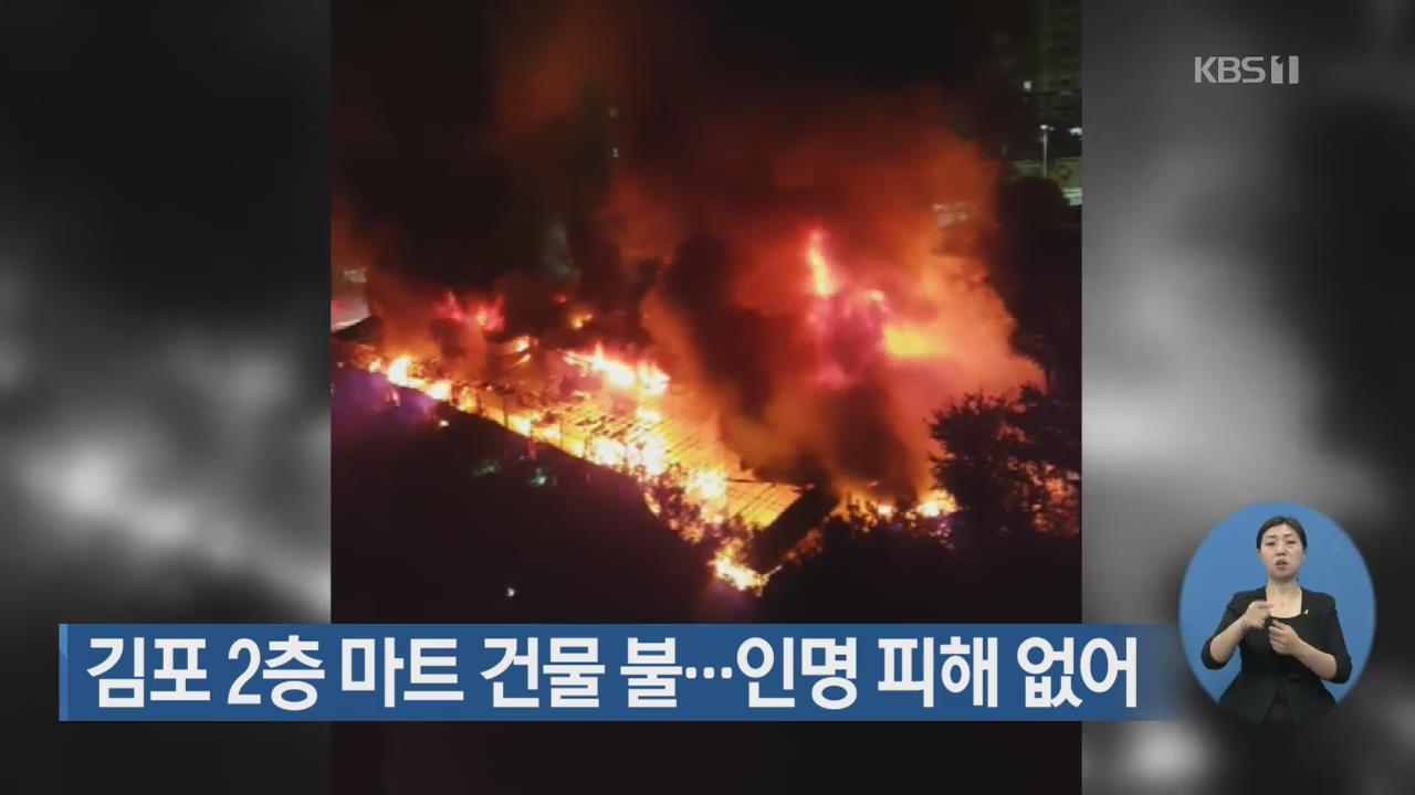 김포 2층 마트 건물 불…인명 피해 없어