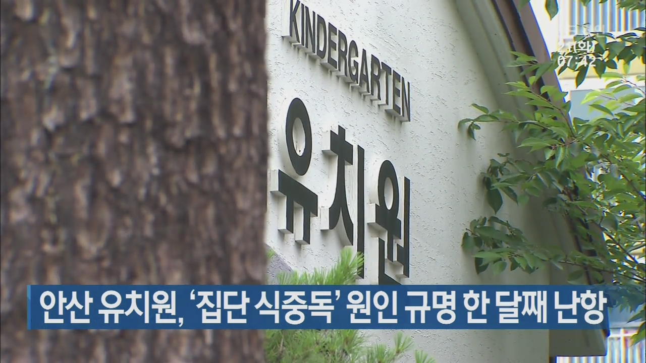 안산 유치원, ‘집단 식중독’ 원인 규명 한 달째 난항