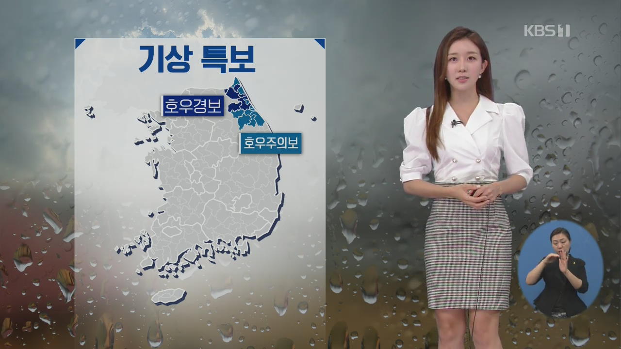 [날씨] 오늘까지 영동 집중호우…최고 200mm 폭우