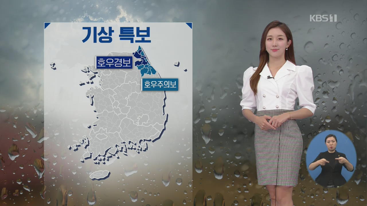 [날씨] 오늘까지 영동 집중호우…최고 200mm 폭우