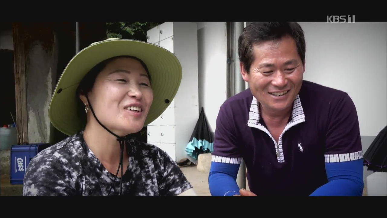[통일로 미래로] 꿀벌과 동고동락…탈북민 부부의 달콤한 꿈