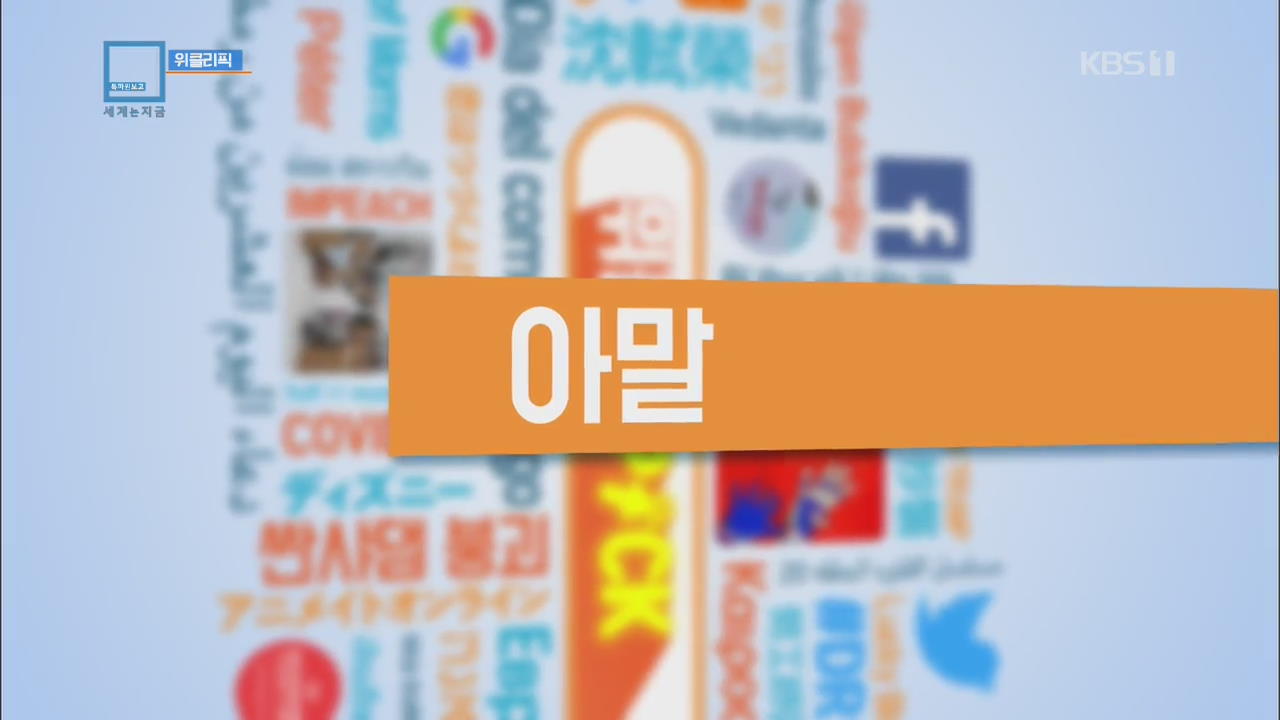 [위클리 pick] 아말 외