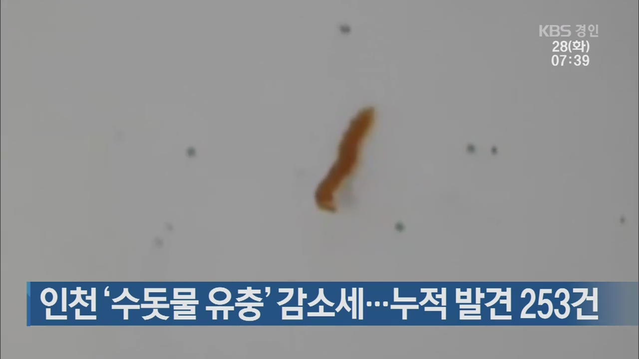 인천 ‘수돗물 유충’ 감소세…누적 발견 253건