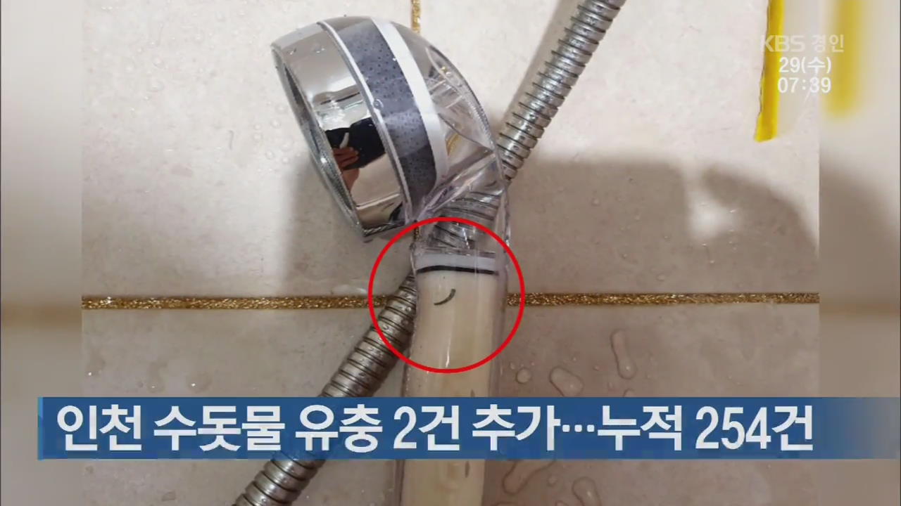 인천 수돗물 유충 2건 추가…누적 254건