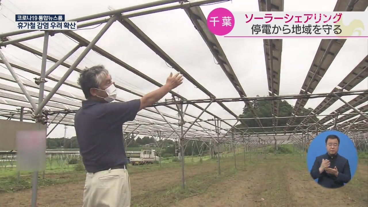 일본, 농사도 짓고 전기도 생산하는 ‘솔라 셰어링’