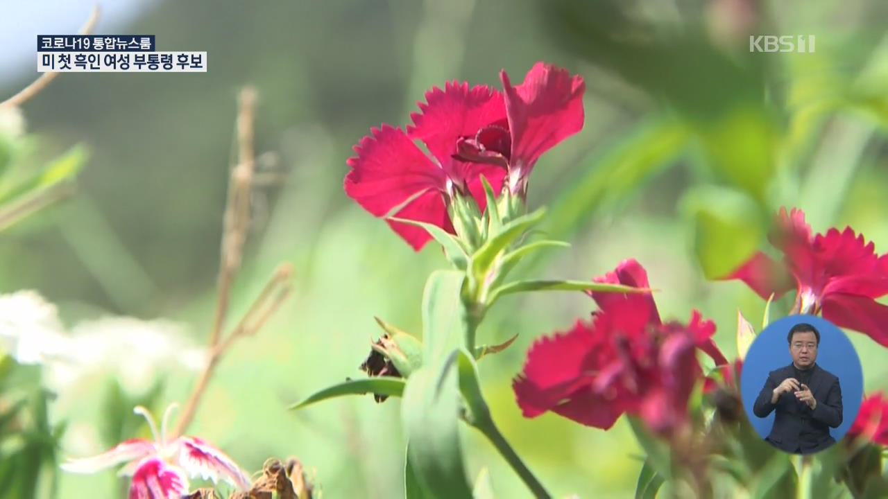 ‘먹는 꽃’ 프랑스 고급 식도락계에 인기 