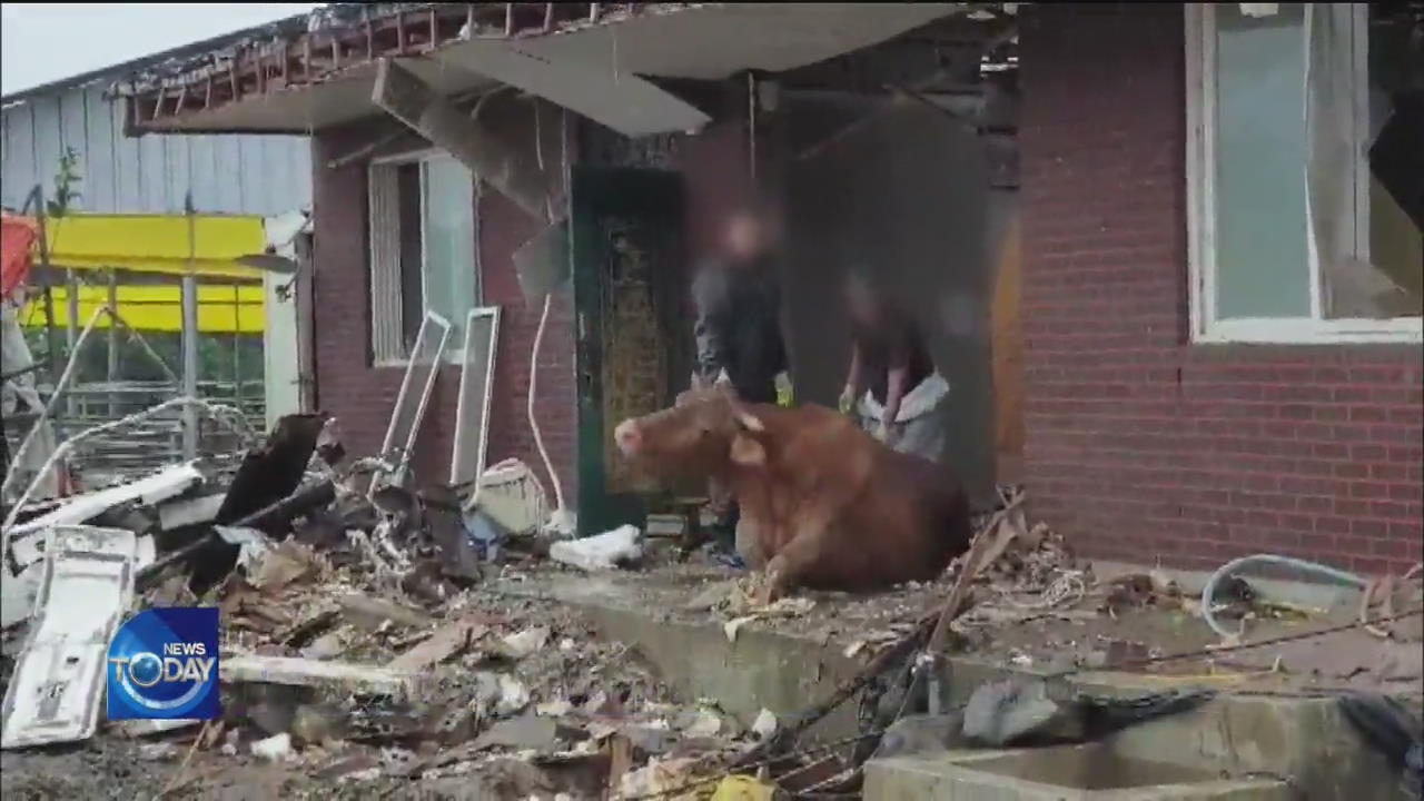 FARMERS LOSE THEIR ANIMALS OVER FLOOD
